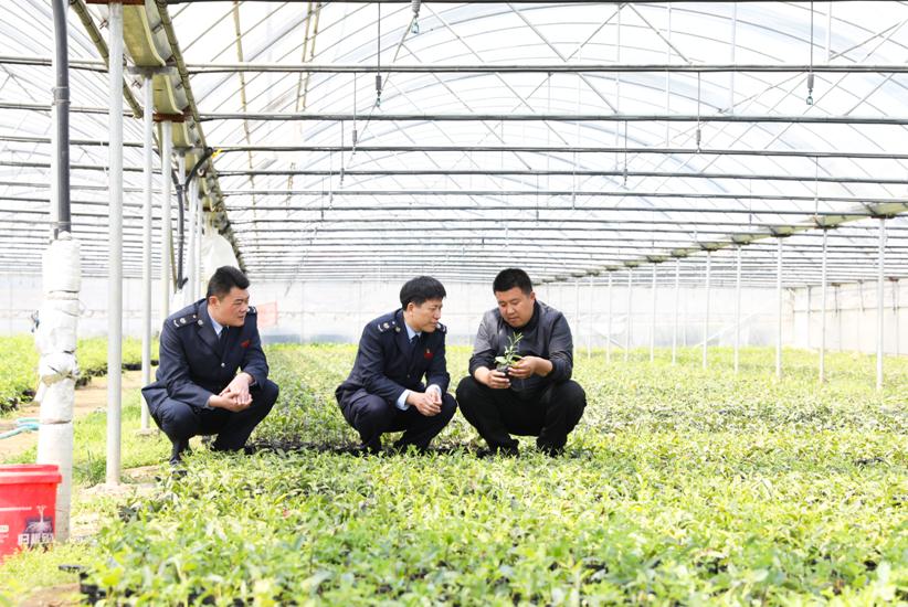 365买球网站 2022世界杯买球日照税务：税收播撒希望不负春耕好时节(图4)