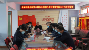 【盘锦税务】榜样365买球 世界杯买球官网领学二十大 从税开启新征程(图1)