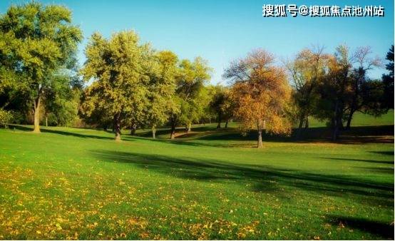 美的罗兰翡丽售楼处电线美的罗兰翡丽售楼中心_24小时电话365买球 世界杯买球(图4)
