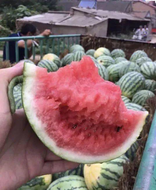一个22年水果365买球网站 2022世界杯买球经纪人的独白：正在消亡的代办行业！(图1)