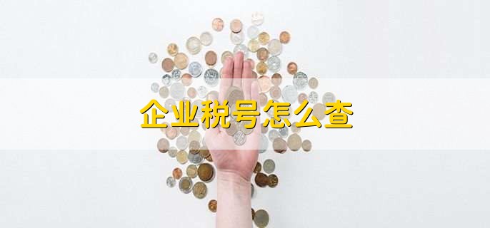企业税号怎么查365买球 世界杯买球官网(图1)