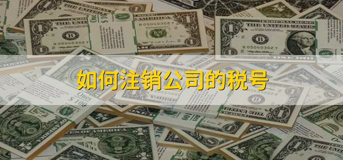 企业税号怎么查365买球 世界杯买球官网(图2)