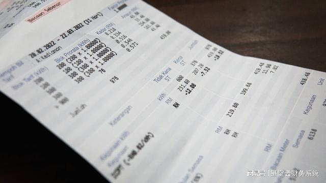 365买球 世界杯买球星空云：什么是数电发票？(图2)