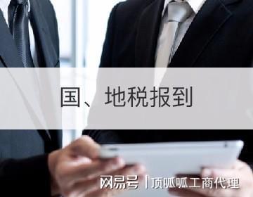 365买球 世界杯买球官网国税申报网上系统怎么走流程？(图1)