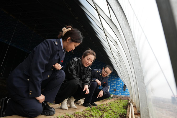 黑龙江省青年税务365买球 世界杯买球干部开展税务宣传活动(图2)